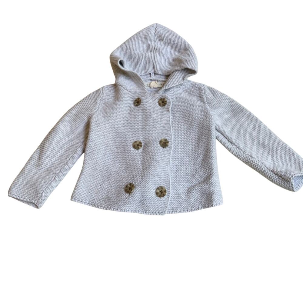 Hope & Henry Hooded Sweater size 12-18 mo‎